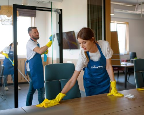 girl cleaning with logo