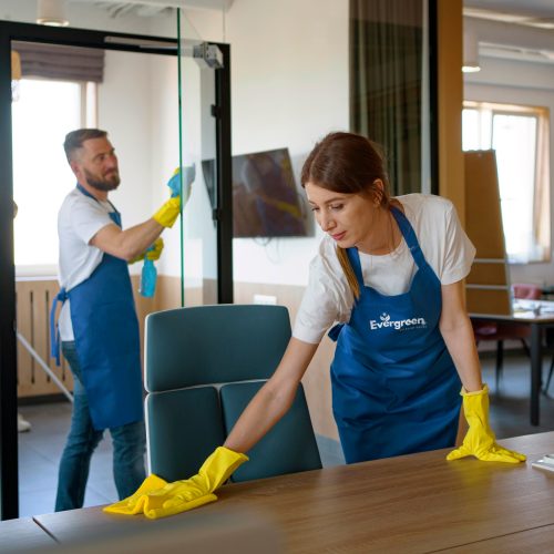 girl cleaning with logo